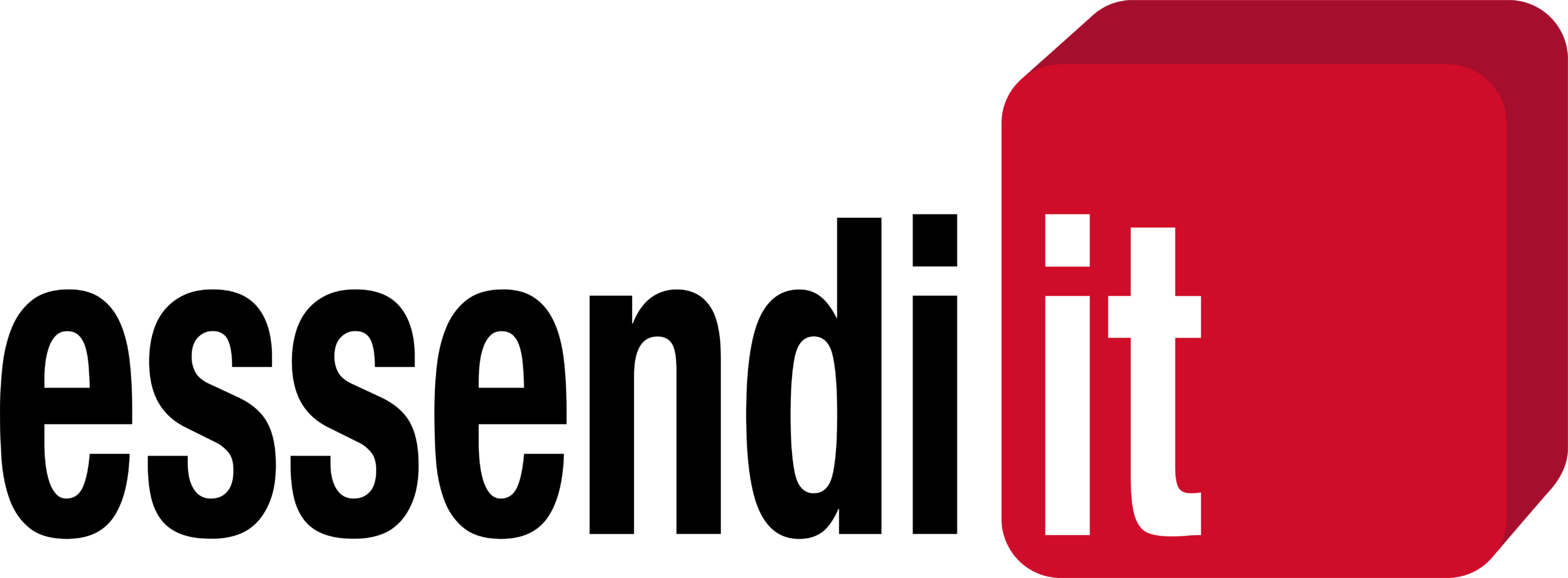 essendi it Logo
